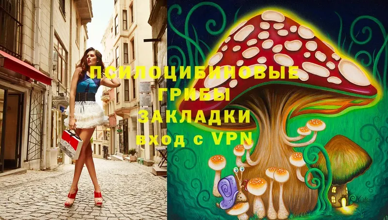 Псилоцибиновые грибы Cubensis  Надым 